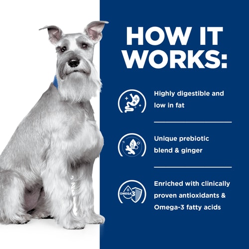Hill's Prescription Diet i/d Low Fat Original Flavor Wet Dog Food 13oz