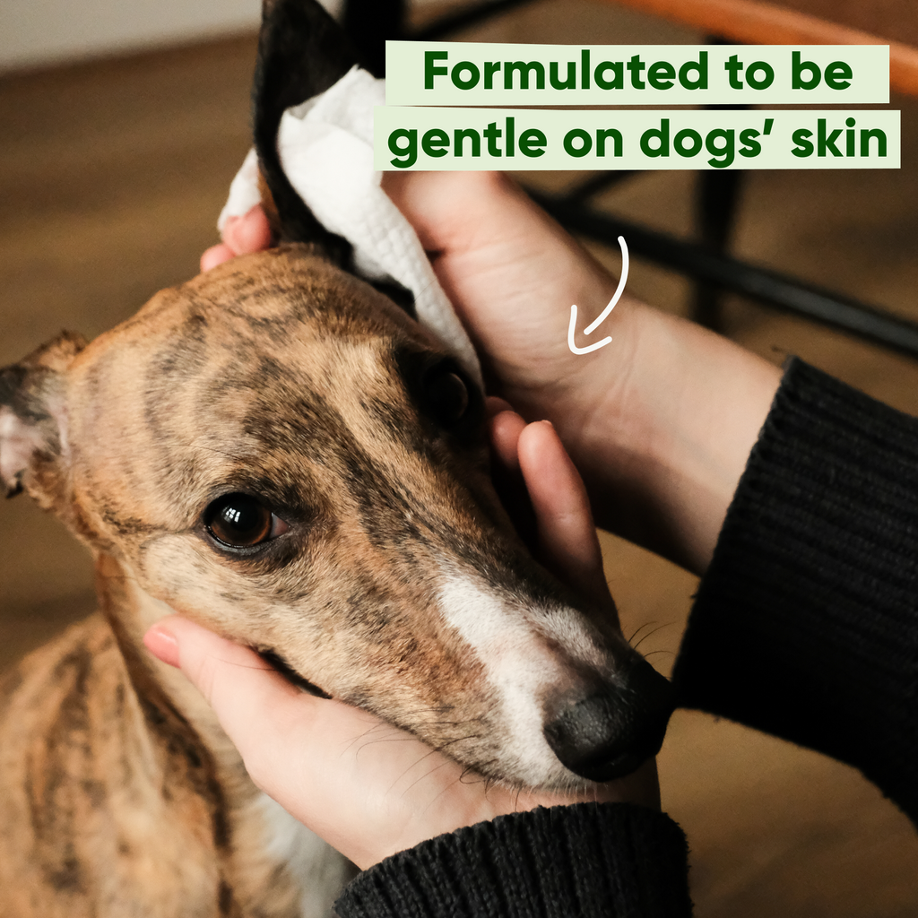 Beco Bamboo Dog Wipes, Unscented