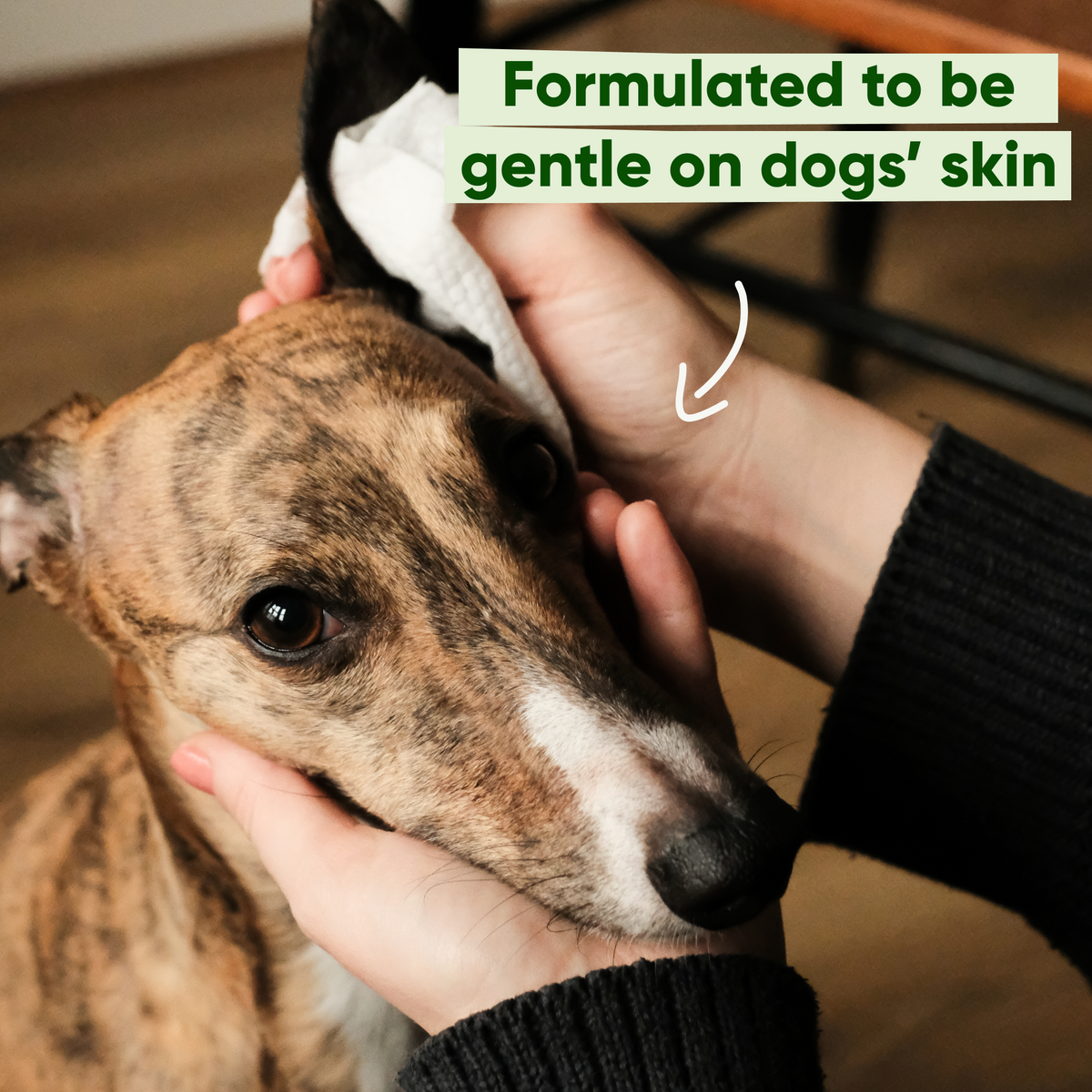 Beco Bamboo Dog Wipes, Unscented