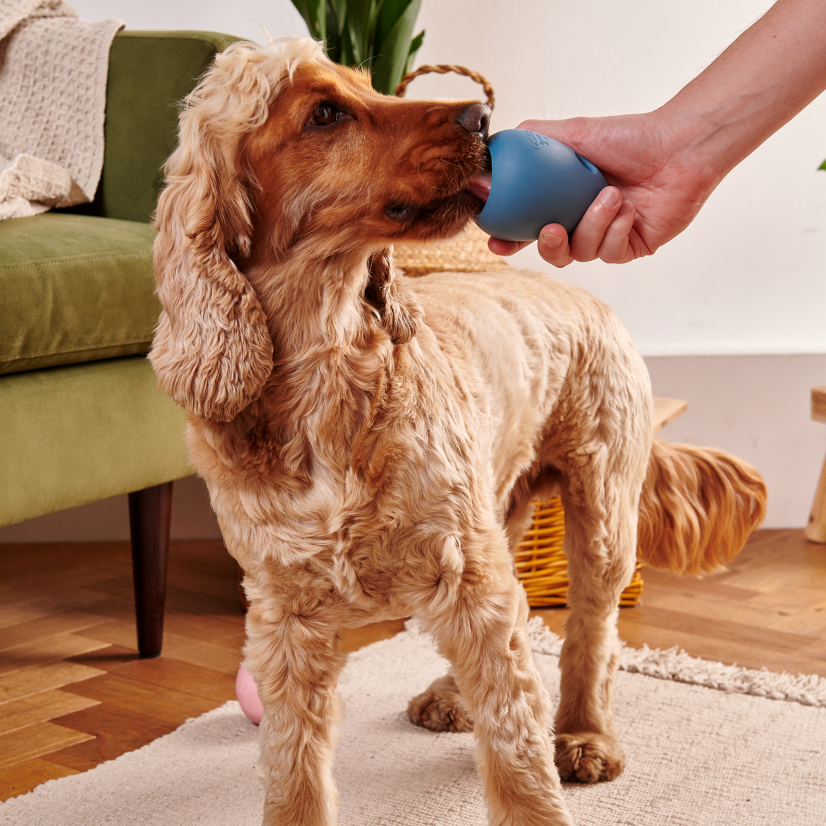 Beco Boredom Buster Enrichment Toy