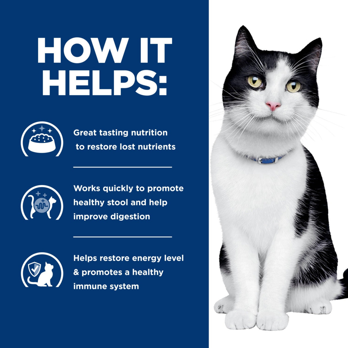 Hill's Prescription Diet i/d with Chicken Cat Food 4lbs