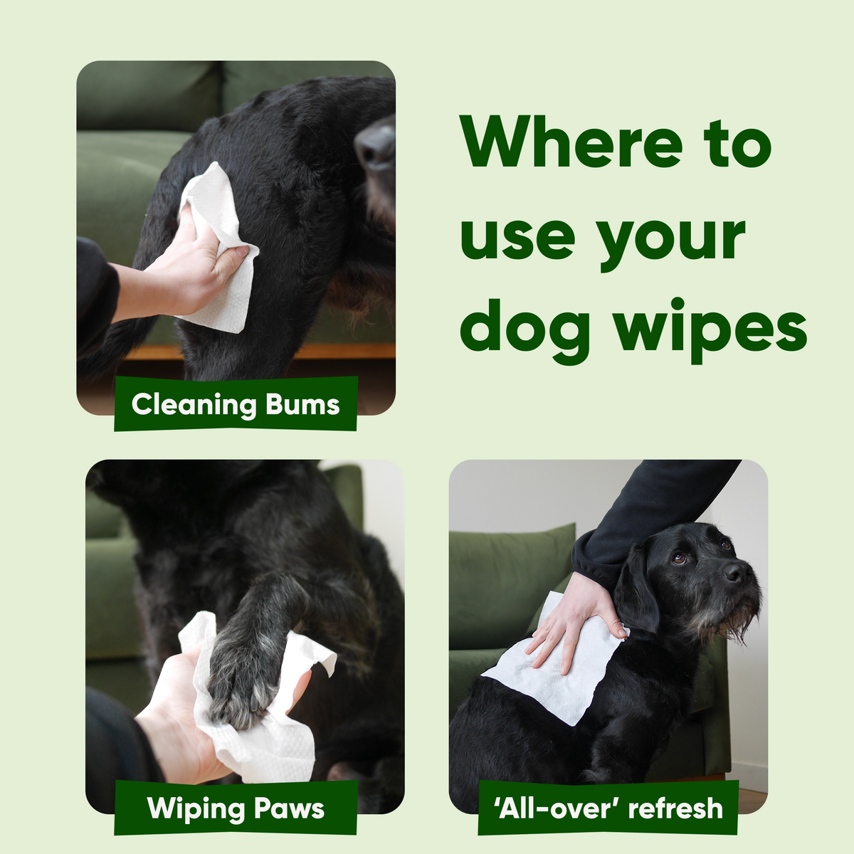Beco Bamboo Dog Wipes, Unscented
