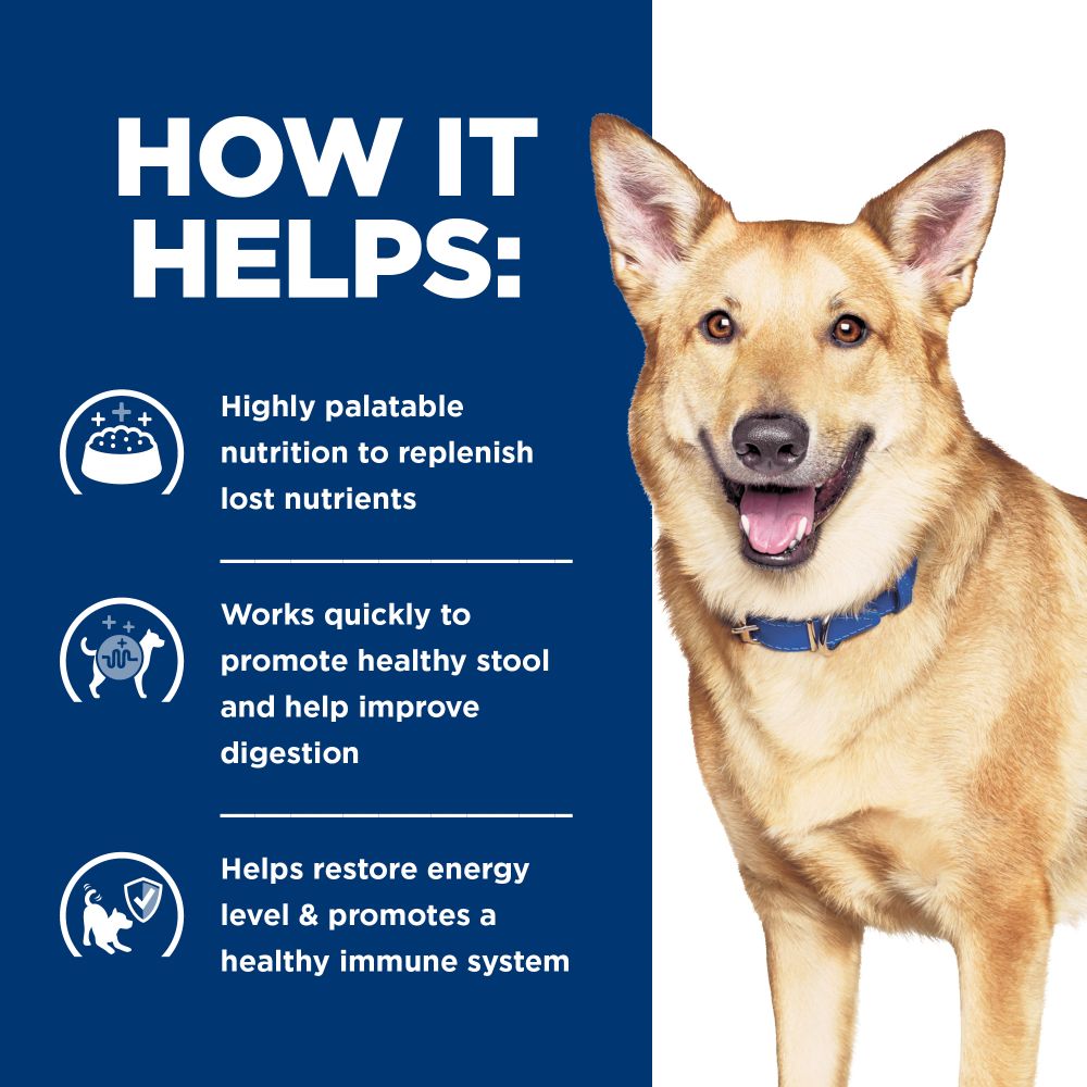 Hill's Prescription Diet i/d with Turkey Wet Dog Food 13oz