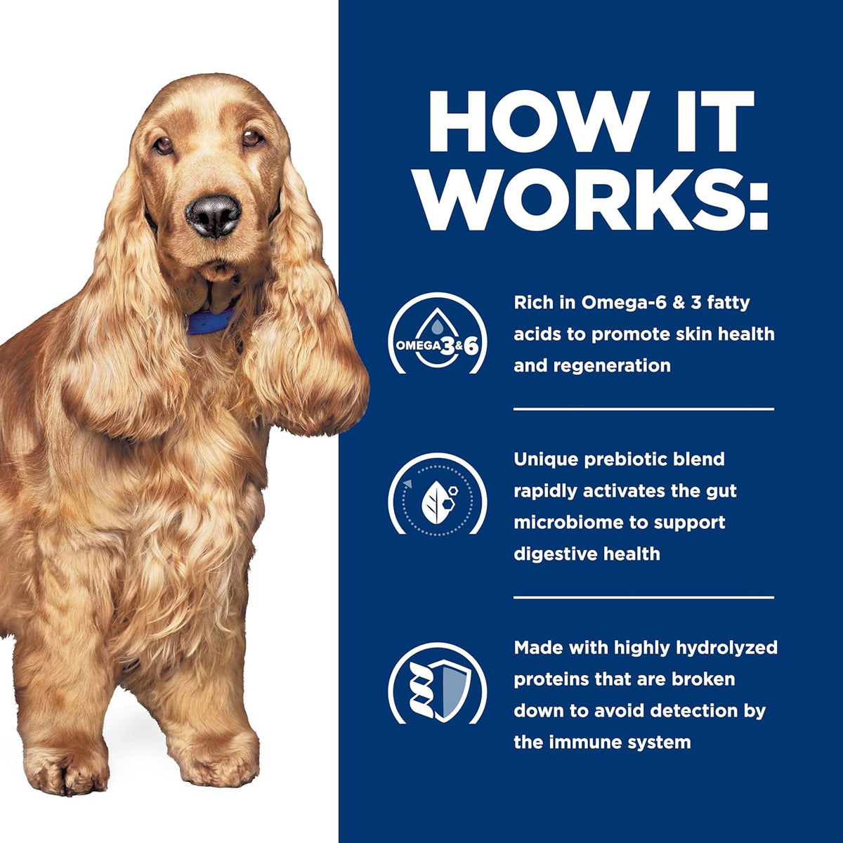Hill's Prescription Diet z/d Dry Dog Food