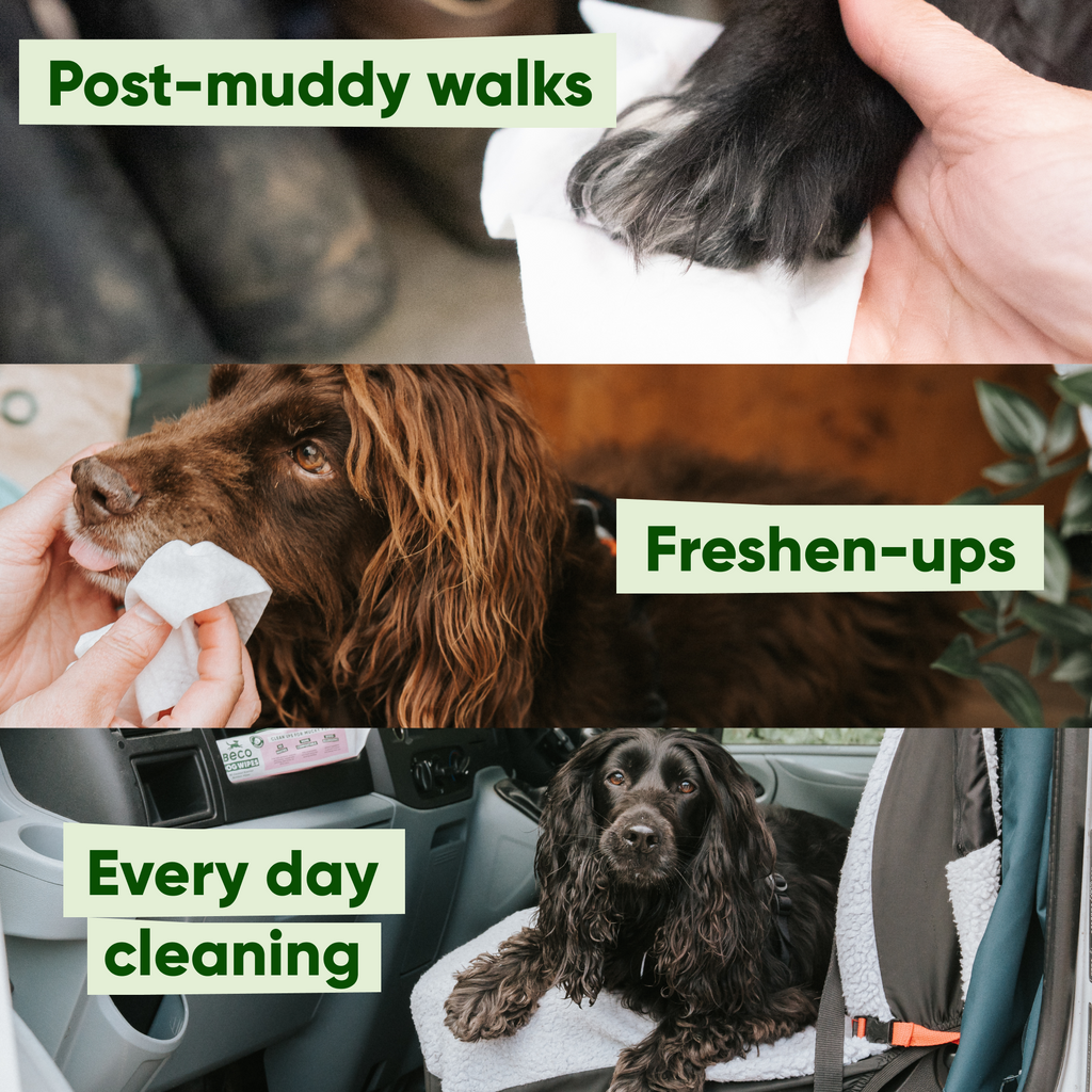 Beco Bamboo Dog Wipes, Unscented