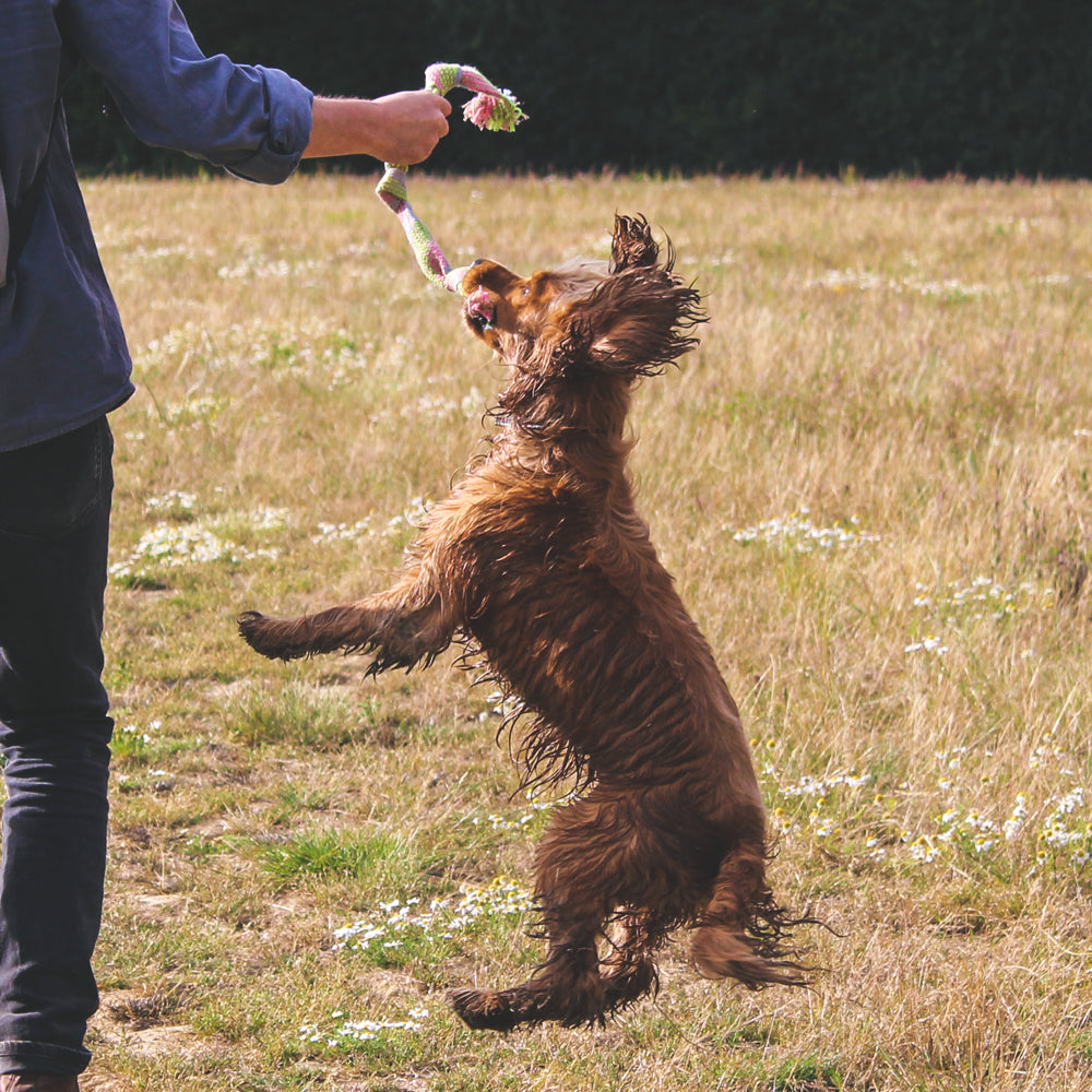 Beco Hemp Squeaky Rope
