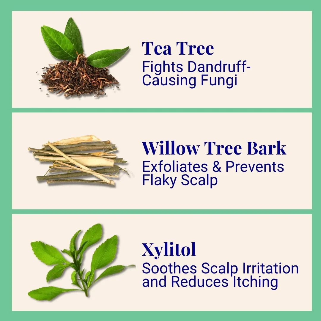 Exfoliating Shampoo For Loose Dandruff Flakes Tea Tree & Salicylic Acid 50g / 1.76oz