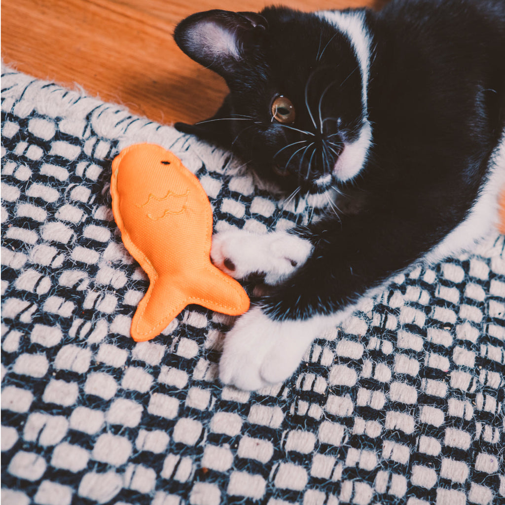 Beco Catnip Toy, Fish