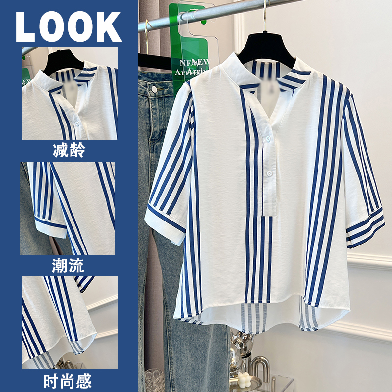 Plus Blue Stripe Shirt Blouse