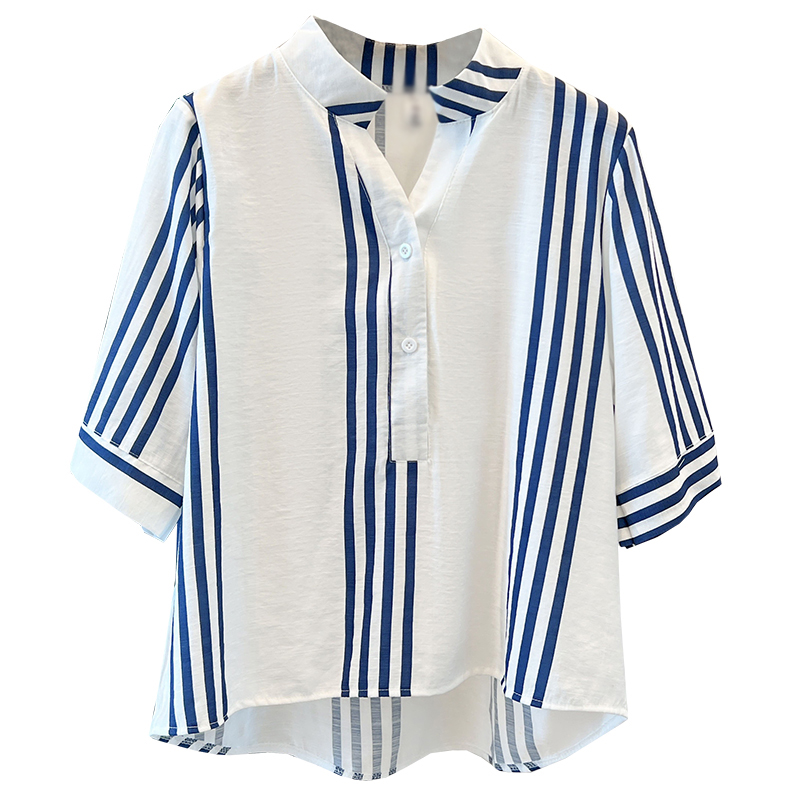 Plus Blue Stripe Shirt Blouse