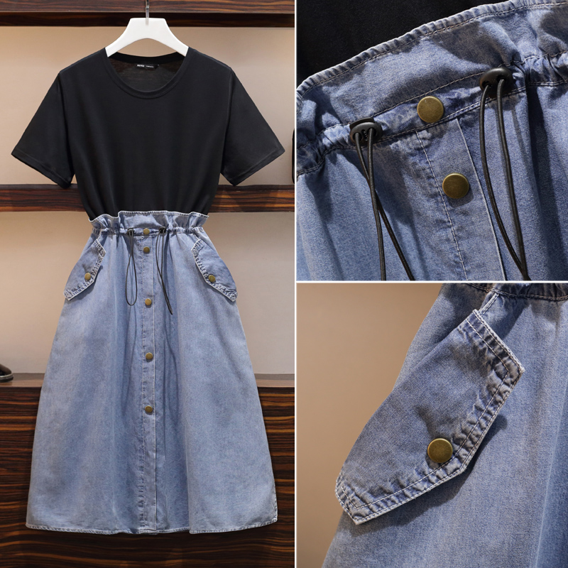 Plus Size Denim Layer Dress