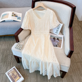 Plus Size Lace V Neck Midi Party Dress