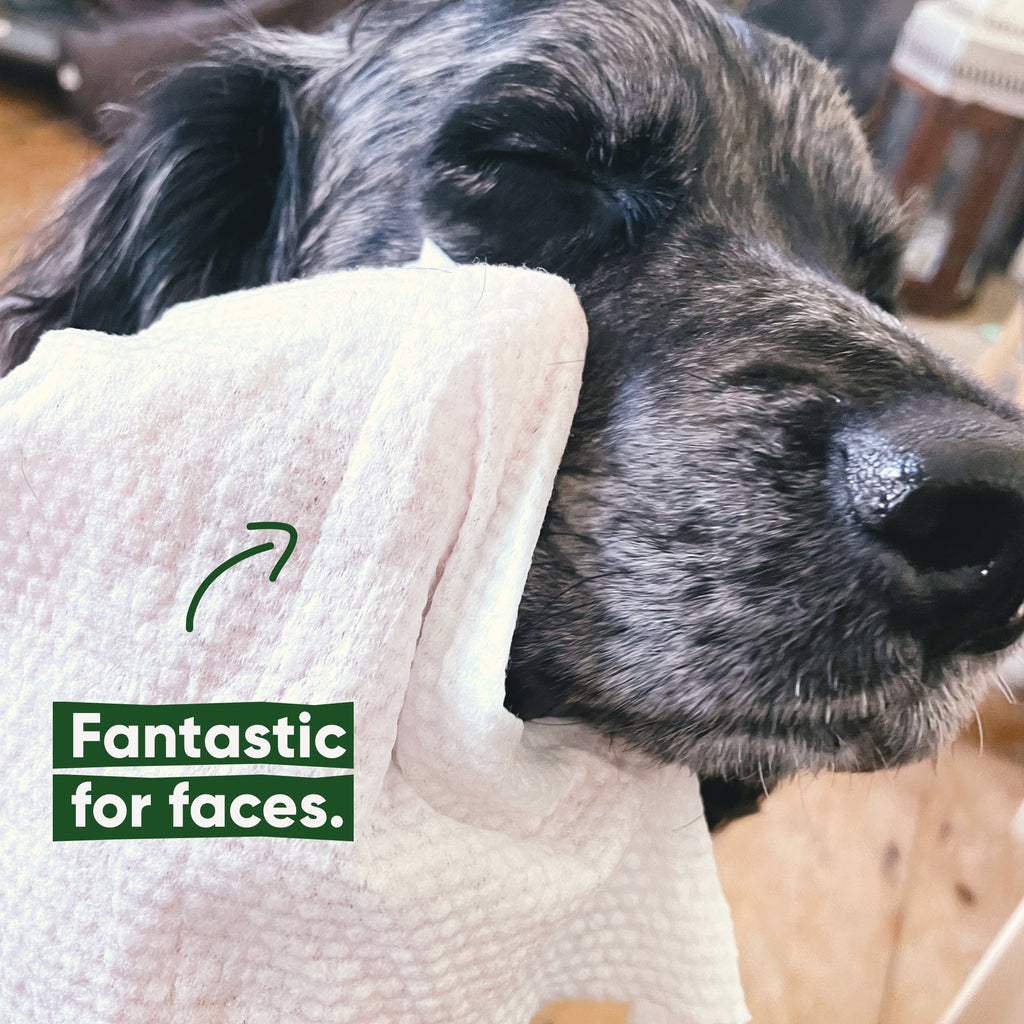 Beco Bamboo Dog Wipes, Coconut Scented