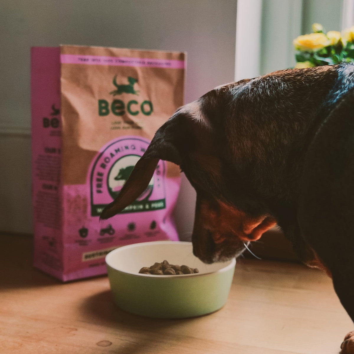 Beco Bamboo Pet Bowl, Fresh Mint