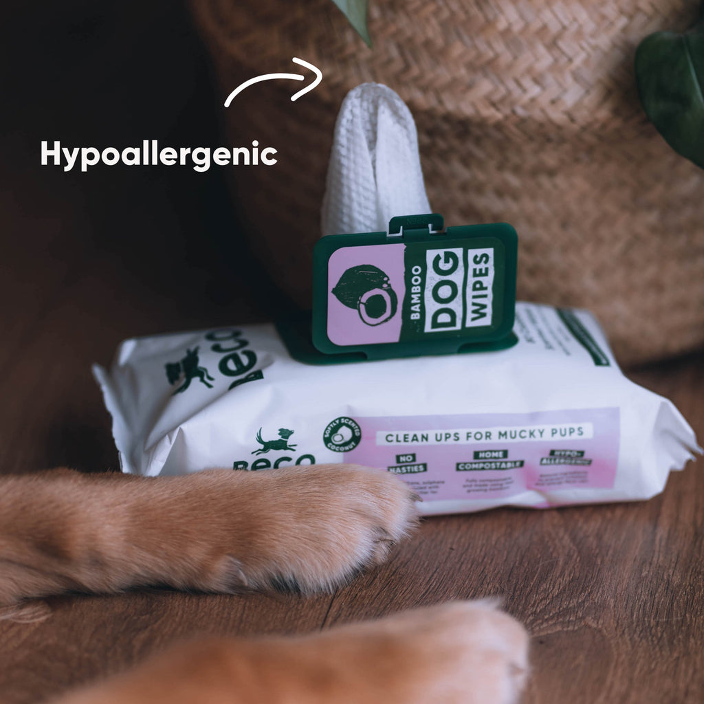 Beco Bamboo Dog Wipes, Coconut Scented