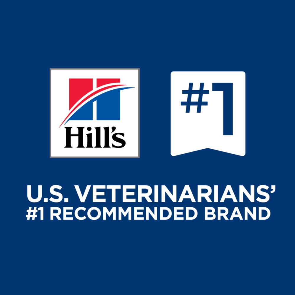 Hill's Prescription Diet z/d Dry Dog Food