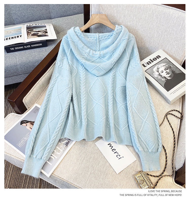 Plus Size Korean Cable Knit Hoodie Sweater Jacket