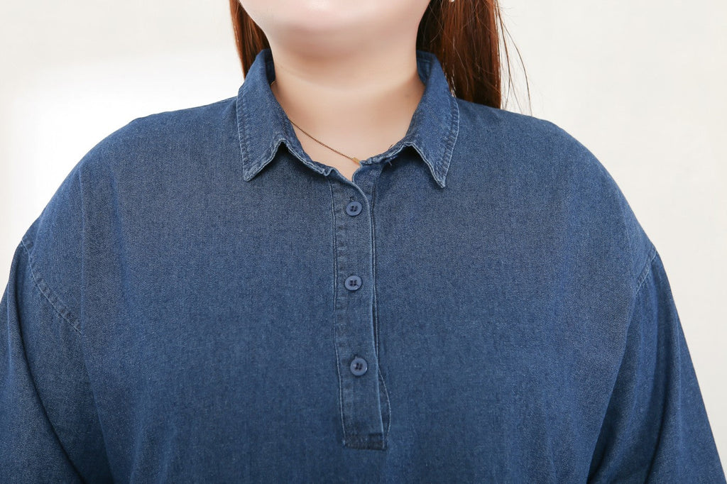 Chloe Plus Size Denim Shirt Dress