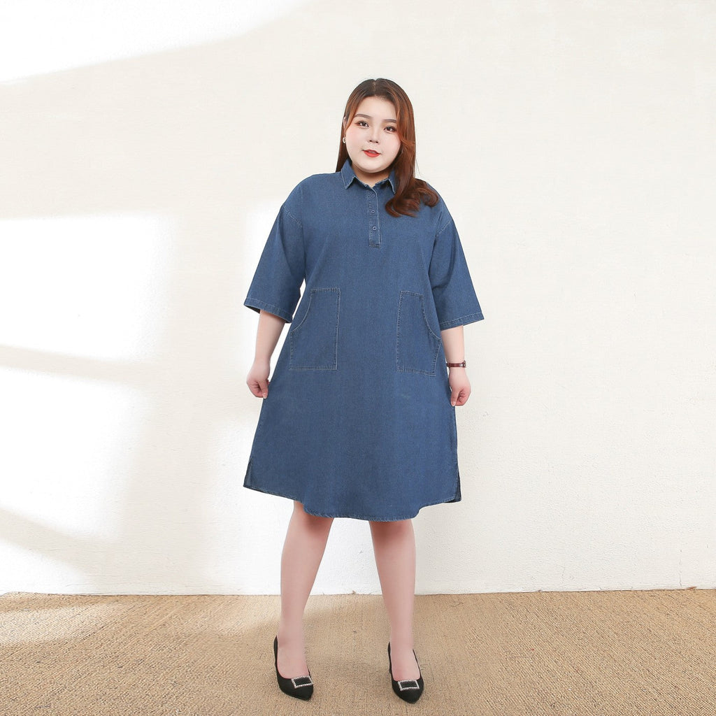 Chloe Plus Size Denim Shirt Dress