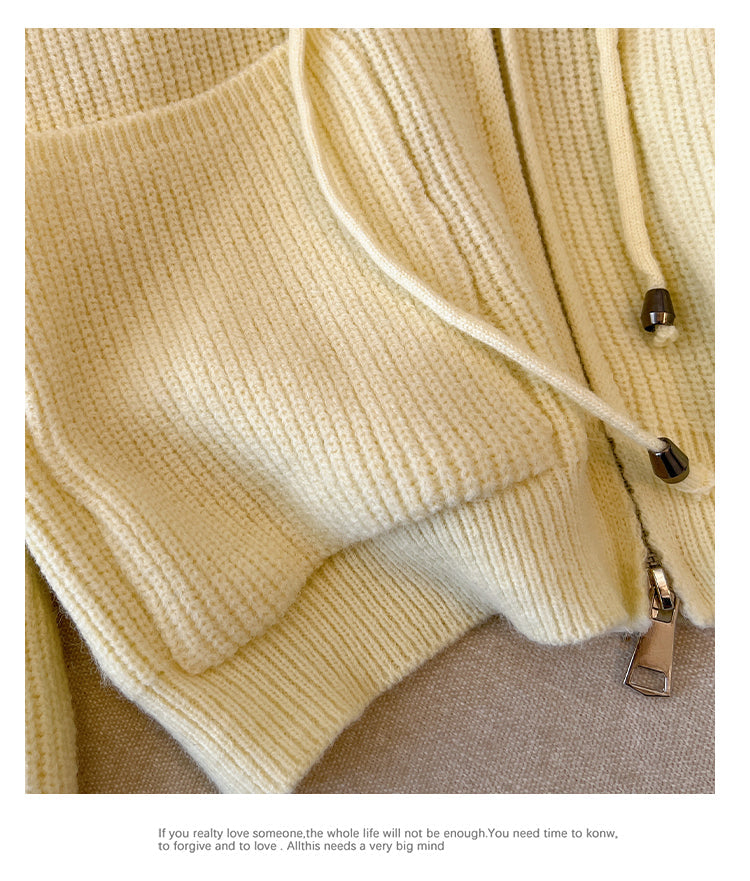 Plus Size Rib Knit Thick Hood Sweater Jacket