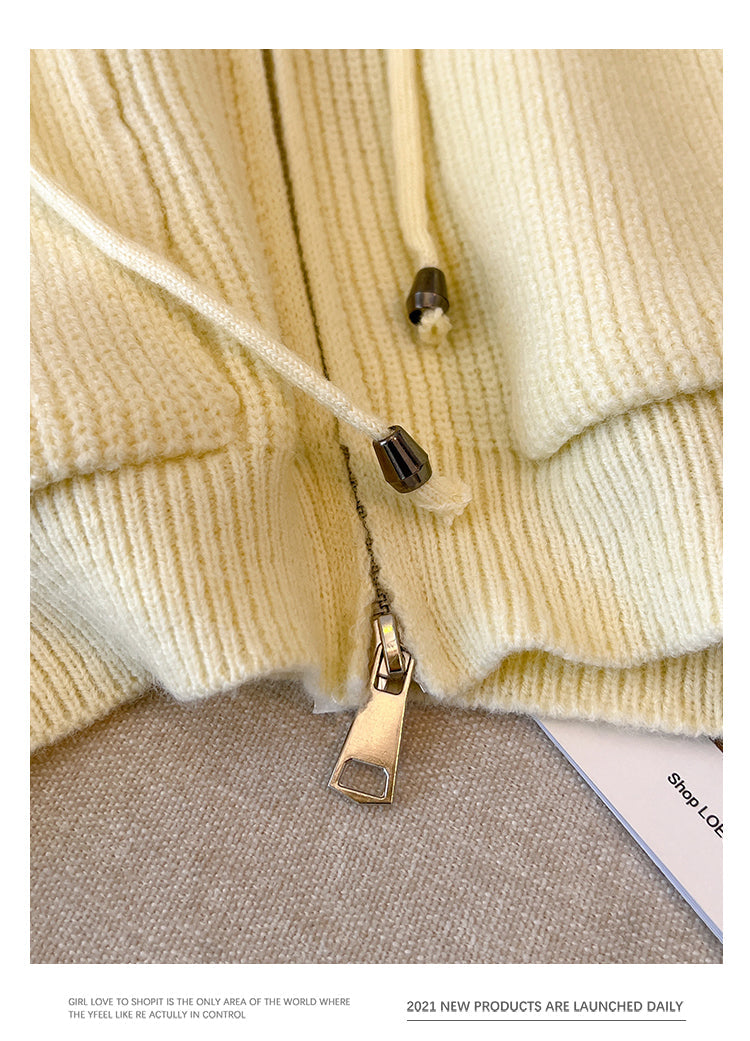 Plus Size Rib Knit Thick Hood Sweater Jacket
