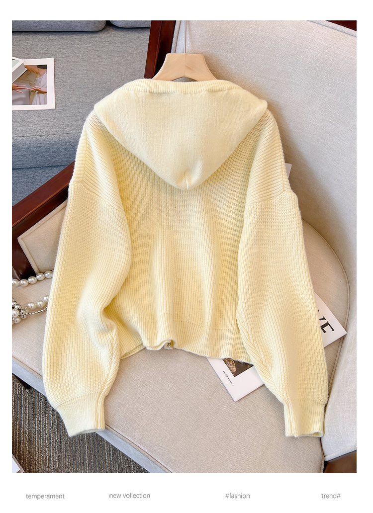 Plus Size Rib Knit Thick Hood Sweater Jacket