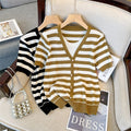 Plus Size Stripe Layer Knit V Neck Top