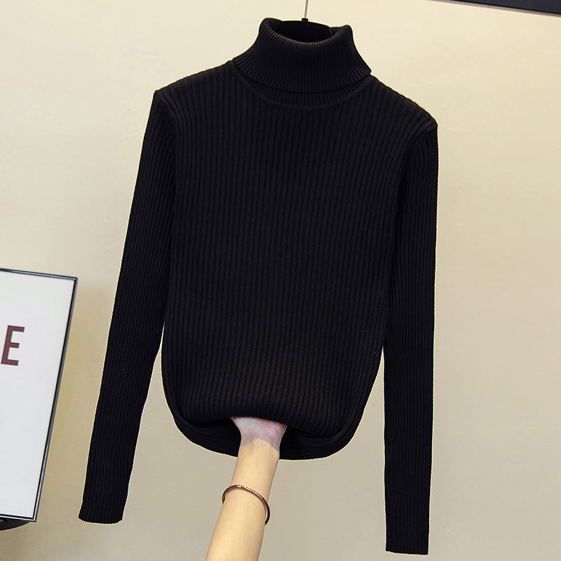 Plus Size Turtle Neck Knit Sweater