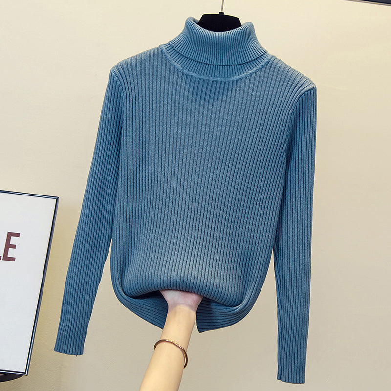 Plus Size Turtle Neck Knit Sweater