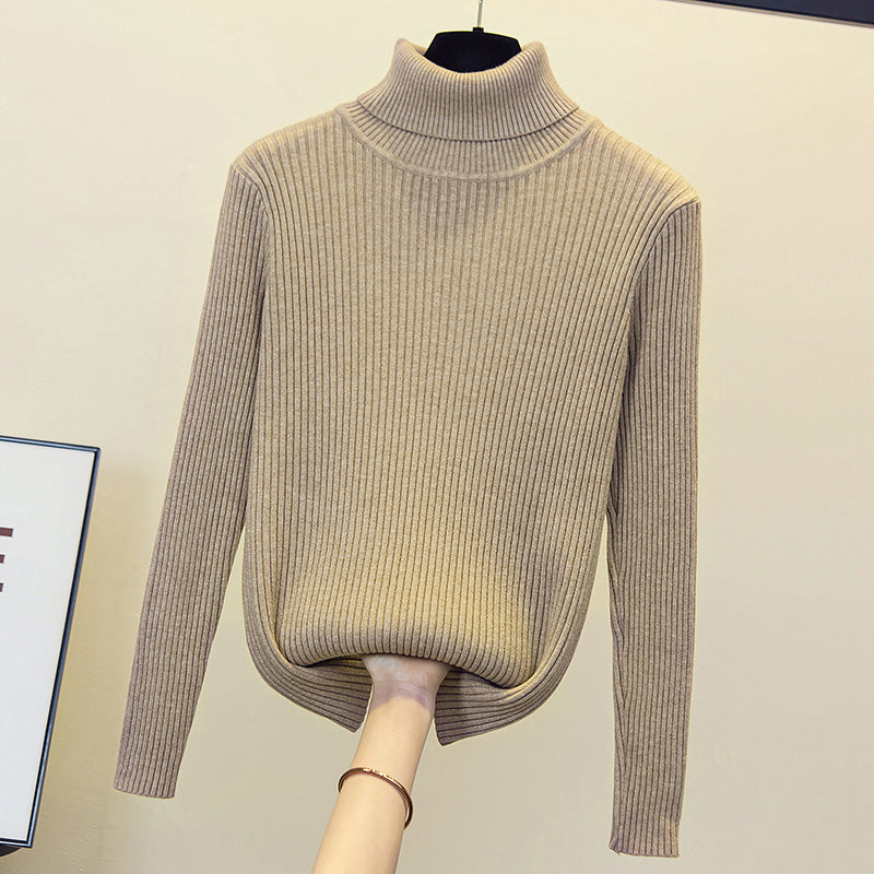Plus Size Turtle Neck Knit Sweater