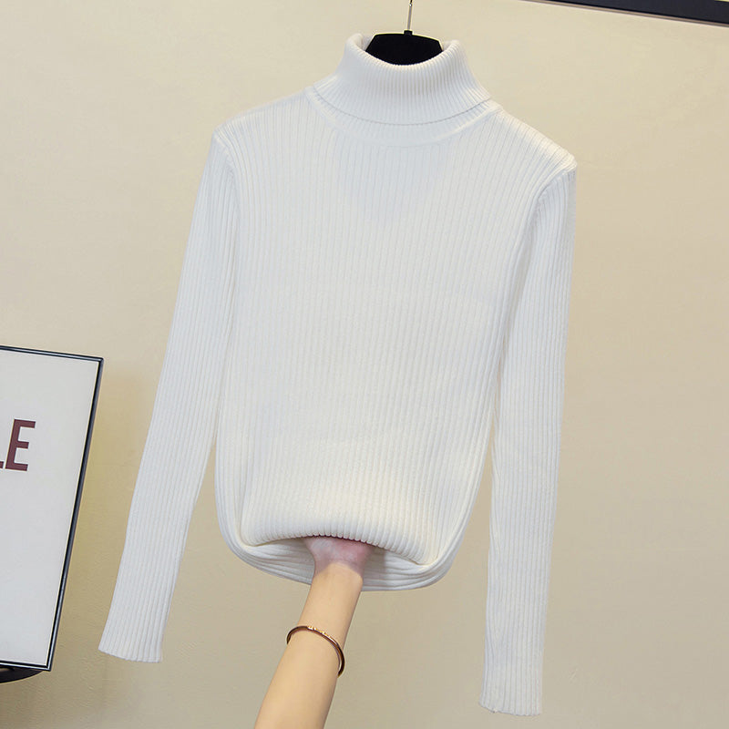 Plus Size Turtle Neck Knit Sweater