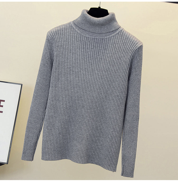 Plus Size Turtle Neck Knit Sweater